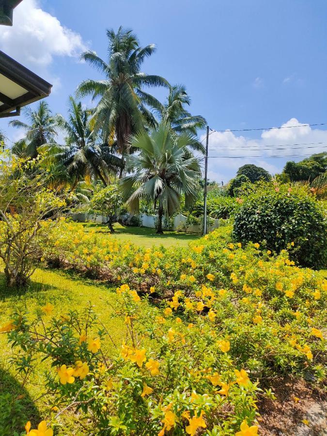Villa Luana Yuna Au Cap Buitenkant foto