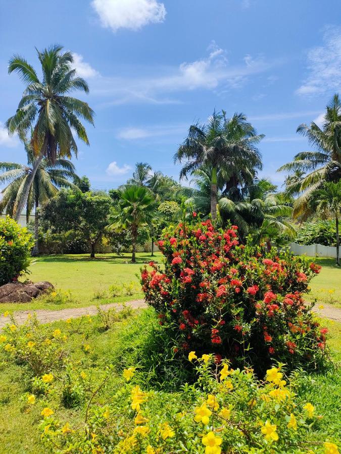 Villa Luana Yuna Au Cap Buitenkant foto