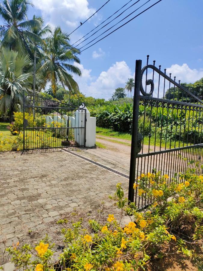 Villa Luana Yuna Au Cap Buitenkant foto